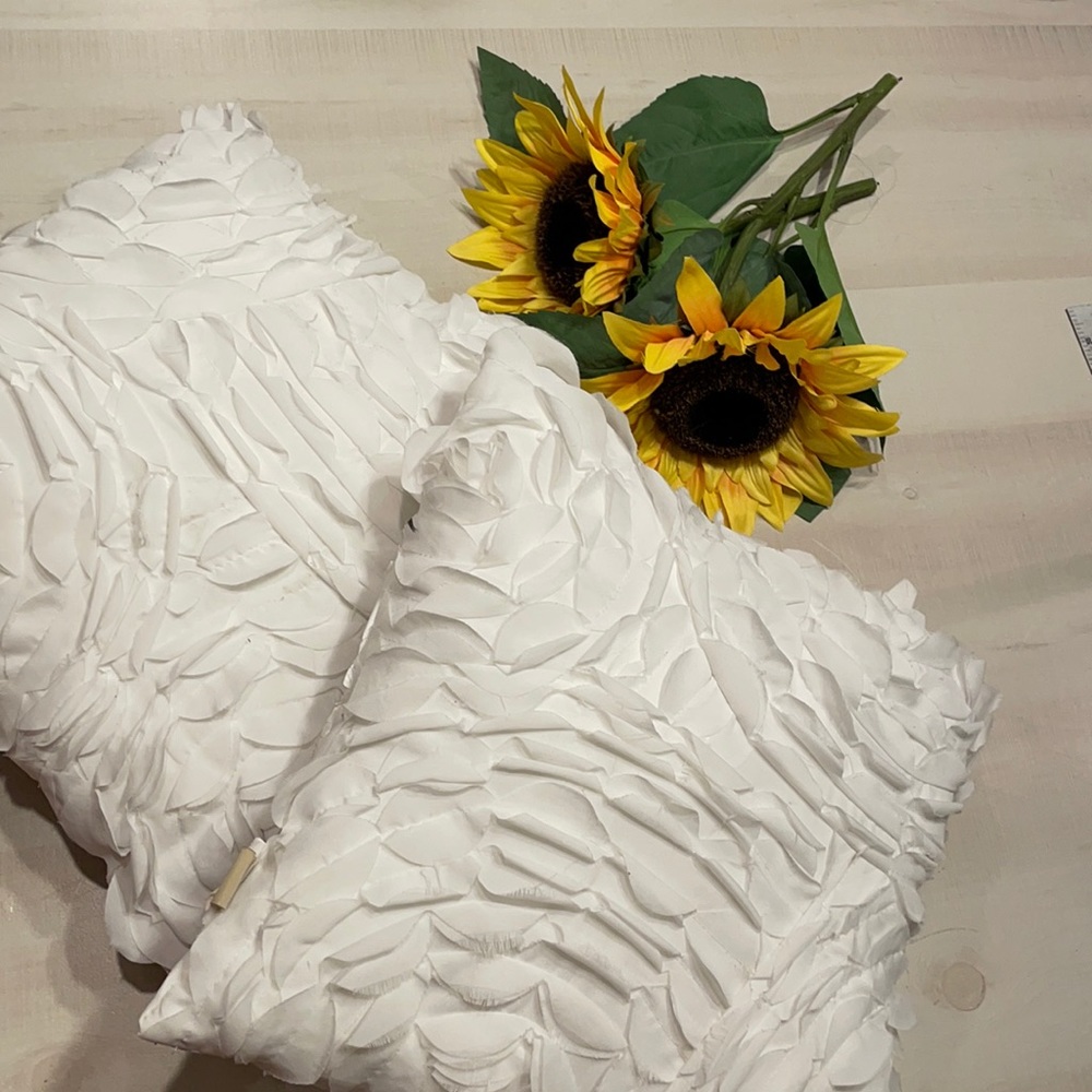 Pottery Barn Teen White Throw Pillows